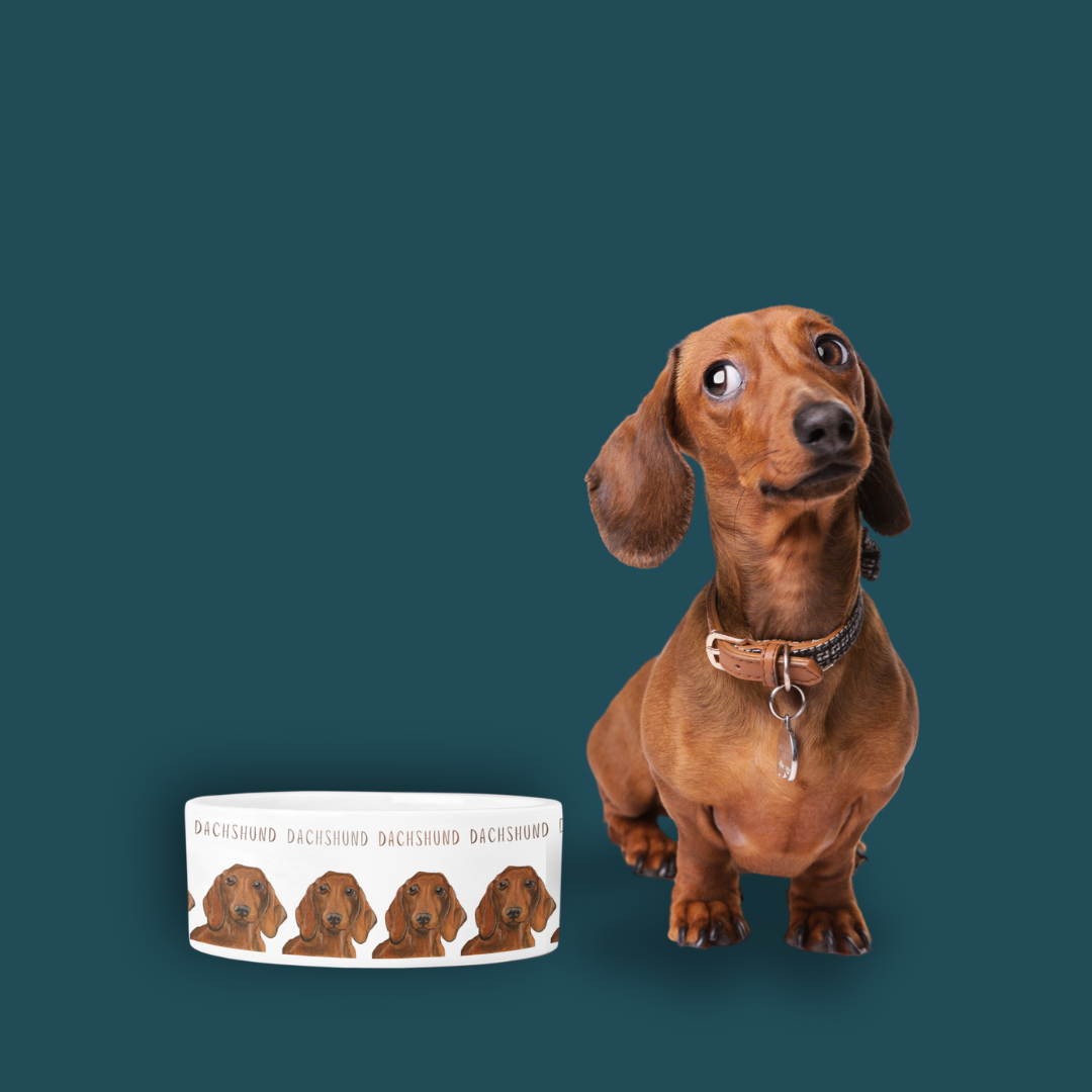 Handcrafted Dachshund Dog Bowl – Stylish Dining for Your Doxie!
