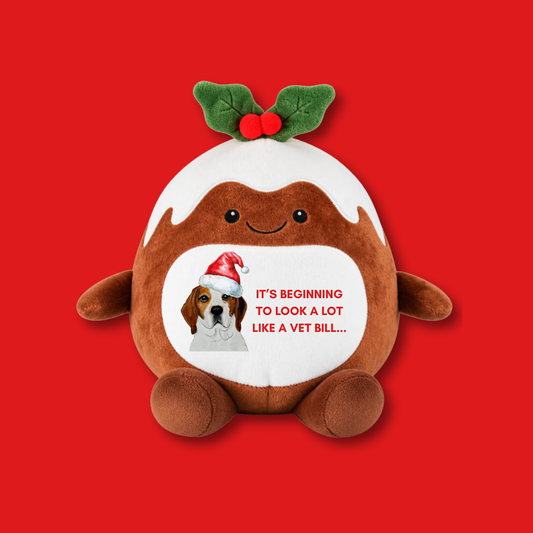 Personalised Christmas Pudding Plushie
