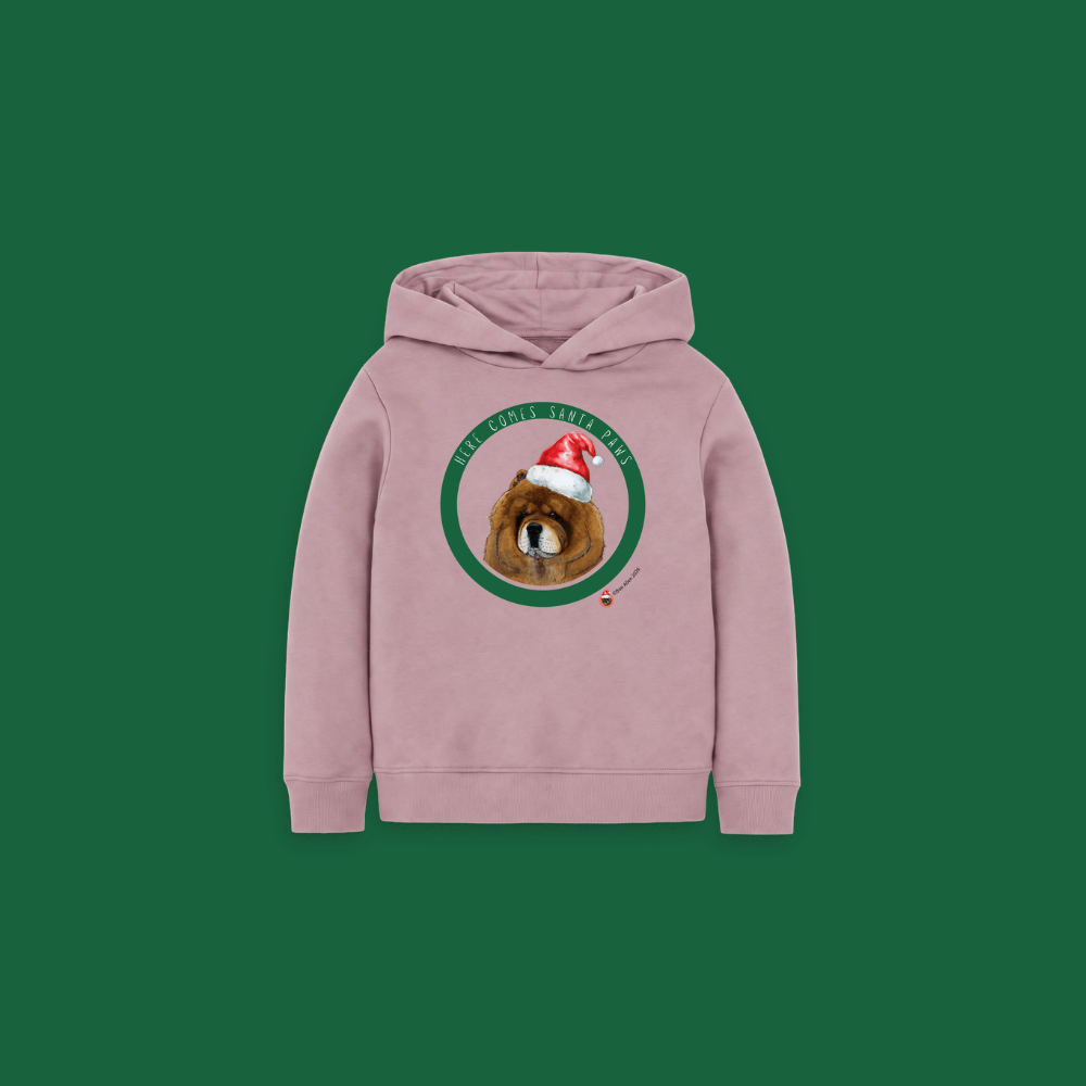 Here Comes Santa Paws Children's Hoody