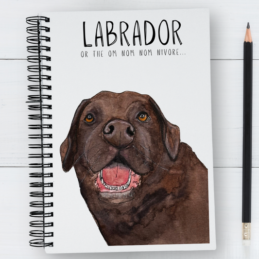 “Paws, Reflect, Repeat” — The Om Nom Nomnivore Notebook