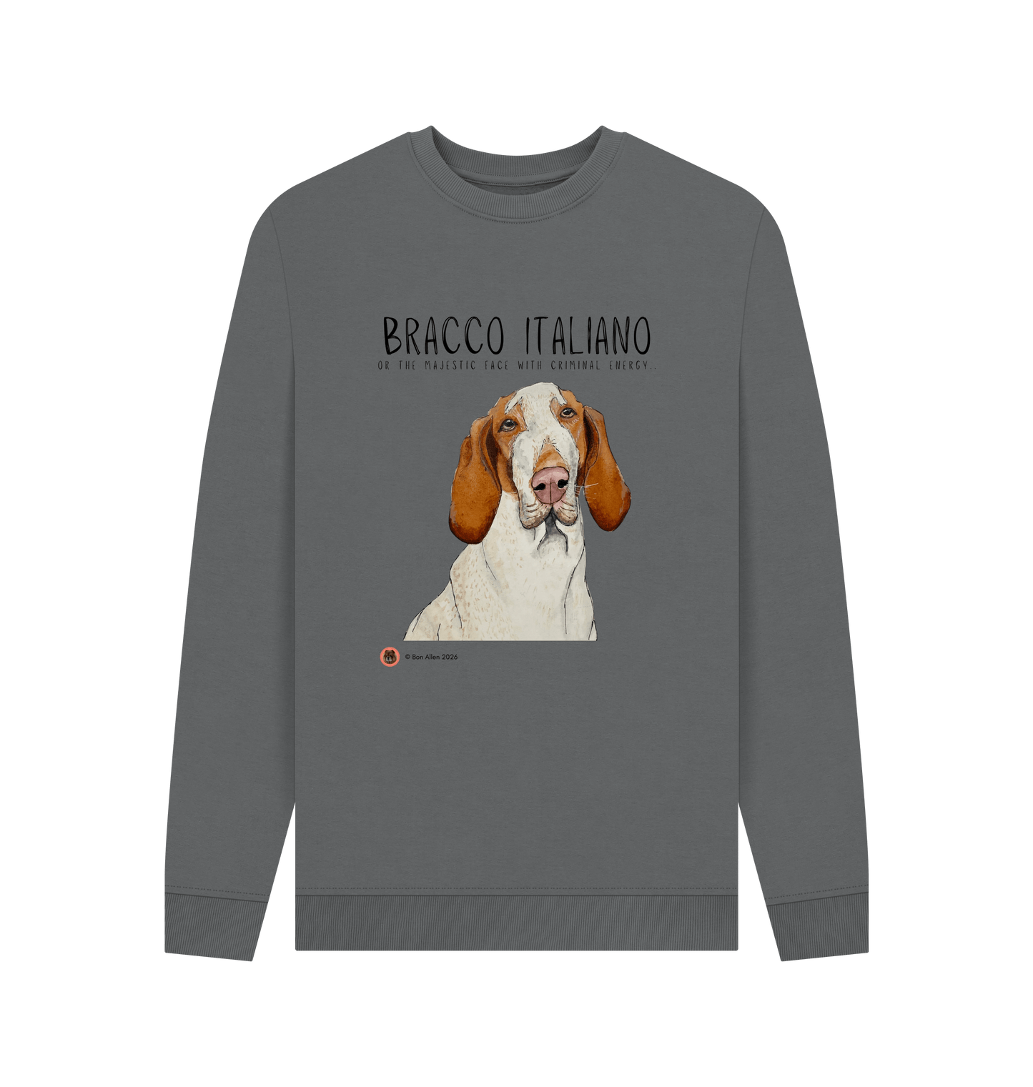 Slate Grey Printed Sweater Front