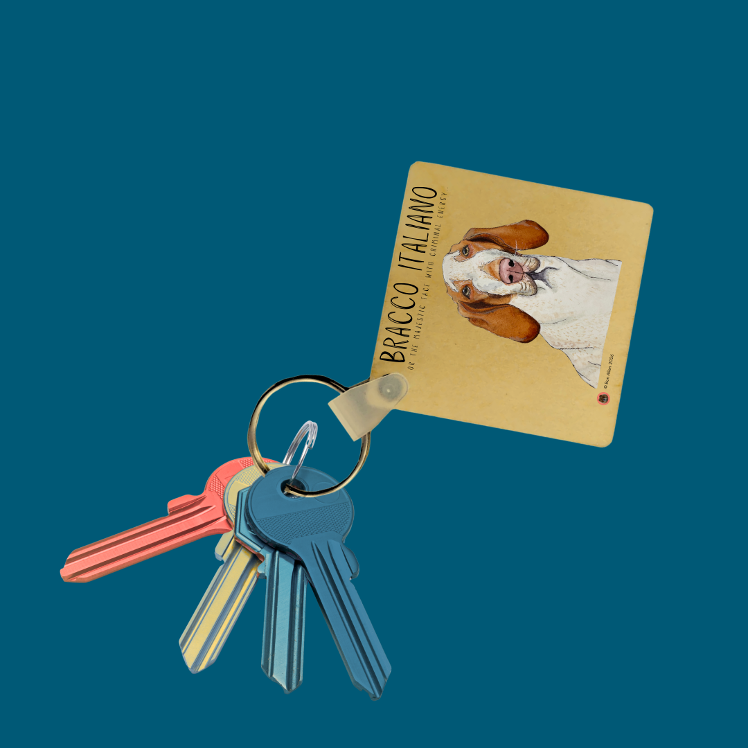 Bracco Italiano Keyring – Majestic Face, Criminal Energy | Made to Order Dog Lover Gift