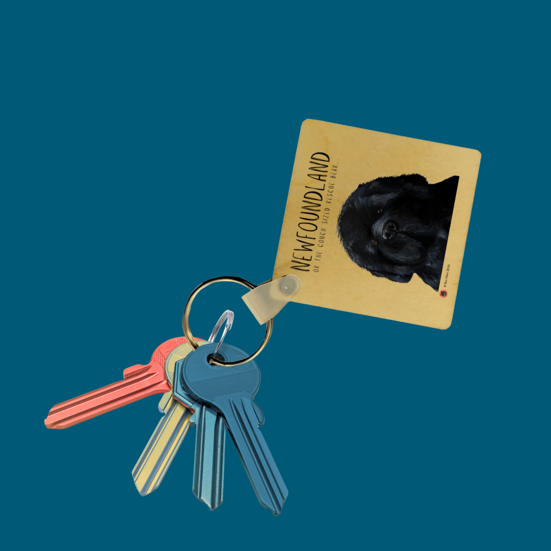 Handmade Newfoundland Key Ring – Couch-Sized Rescue Bear Charm for Dog Lovers