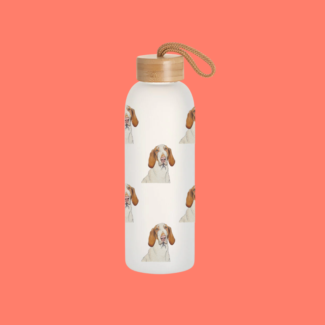 Bracco Italiano Glass Water Bottle with Bamboo Lid, Majestic Face with Criminal Energy,