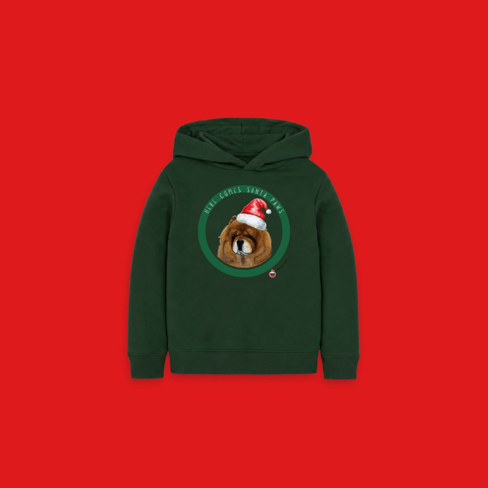 Here Comes Santa Paws Children's Hoody