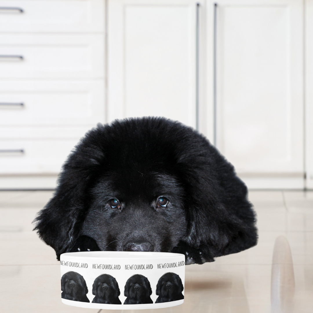 Handmade Newfoundland Dog Bowl – Couch-Sized Rescue Bear Feeding Dish