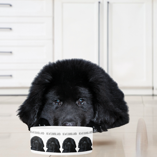 Handmade Newfoundland Dog Bowl – Couch-Sized Rescue Bear Feeding Dish