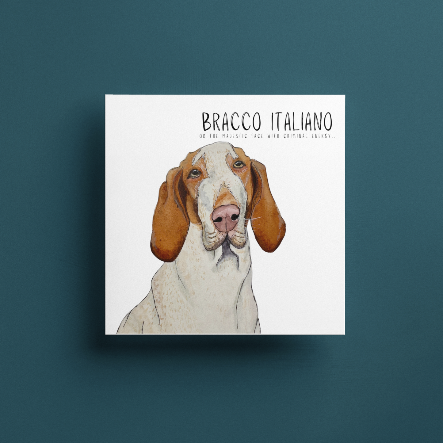 Bracco Italiano Greeting Card – Majestic Face, Absolutely Up To Something