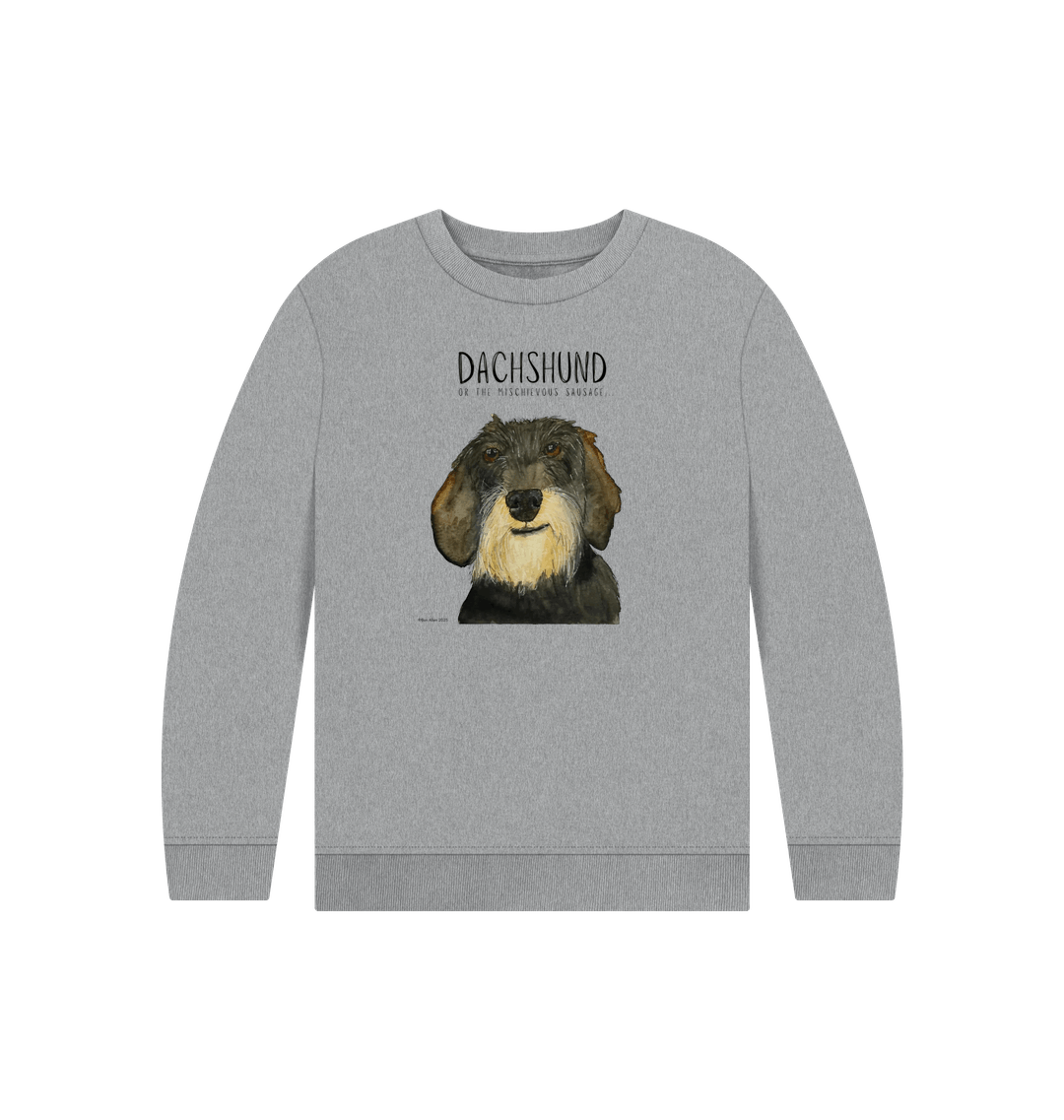 Athletic Grey Printed Kids Jumper