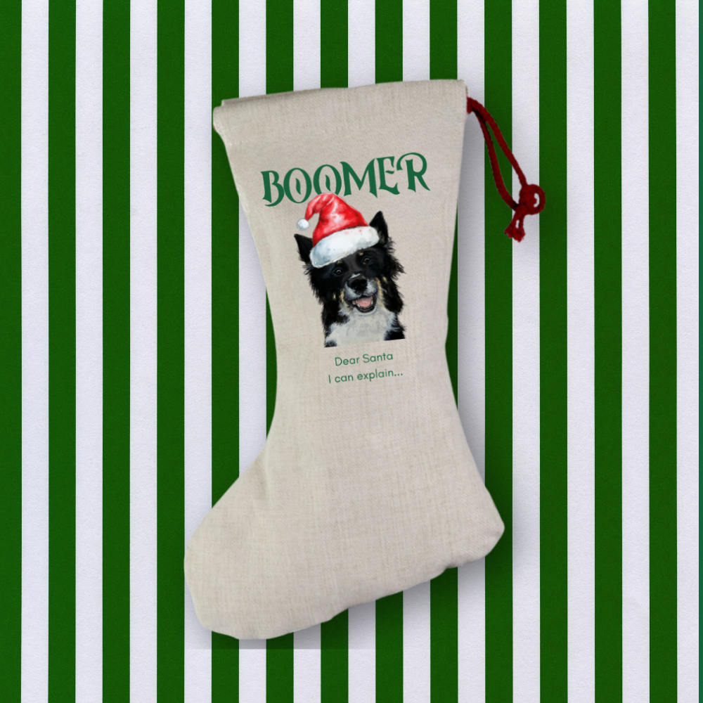 Personalised Christmas Dog Stocking