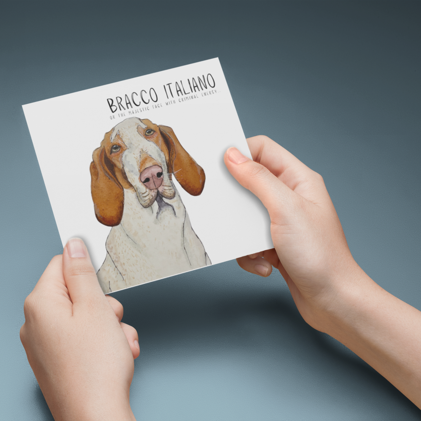 Bracco Italiano Greeting Card – Majestic Face, Absolutely Up To Something