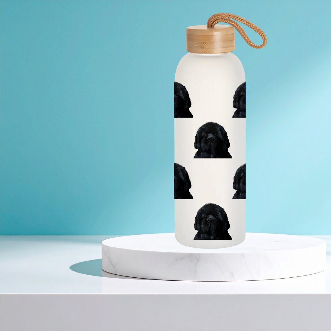 Couch-Sized Rescue Bear Frosted Glass Water Bottle