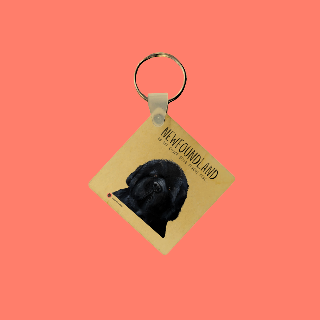 Handmade Newfoundland Key Ring – Couch-Sized Rescue Bear Charm for Dog Lovers
