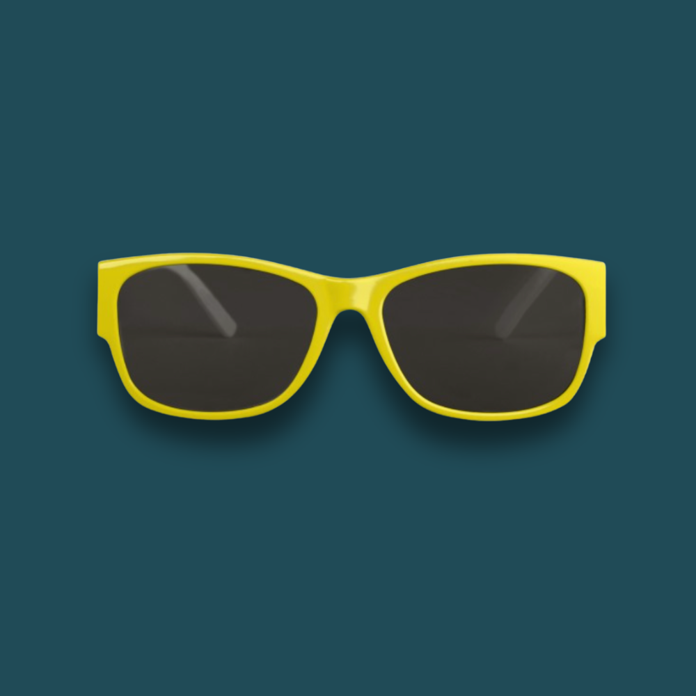 YOUR DOG on sunglasses