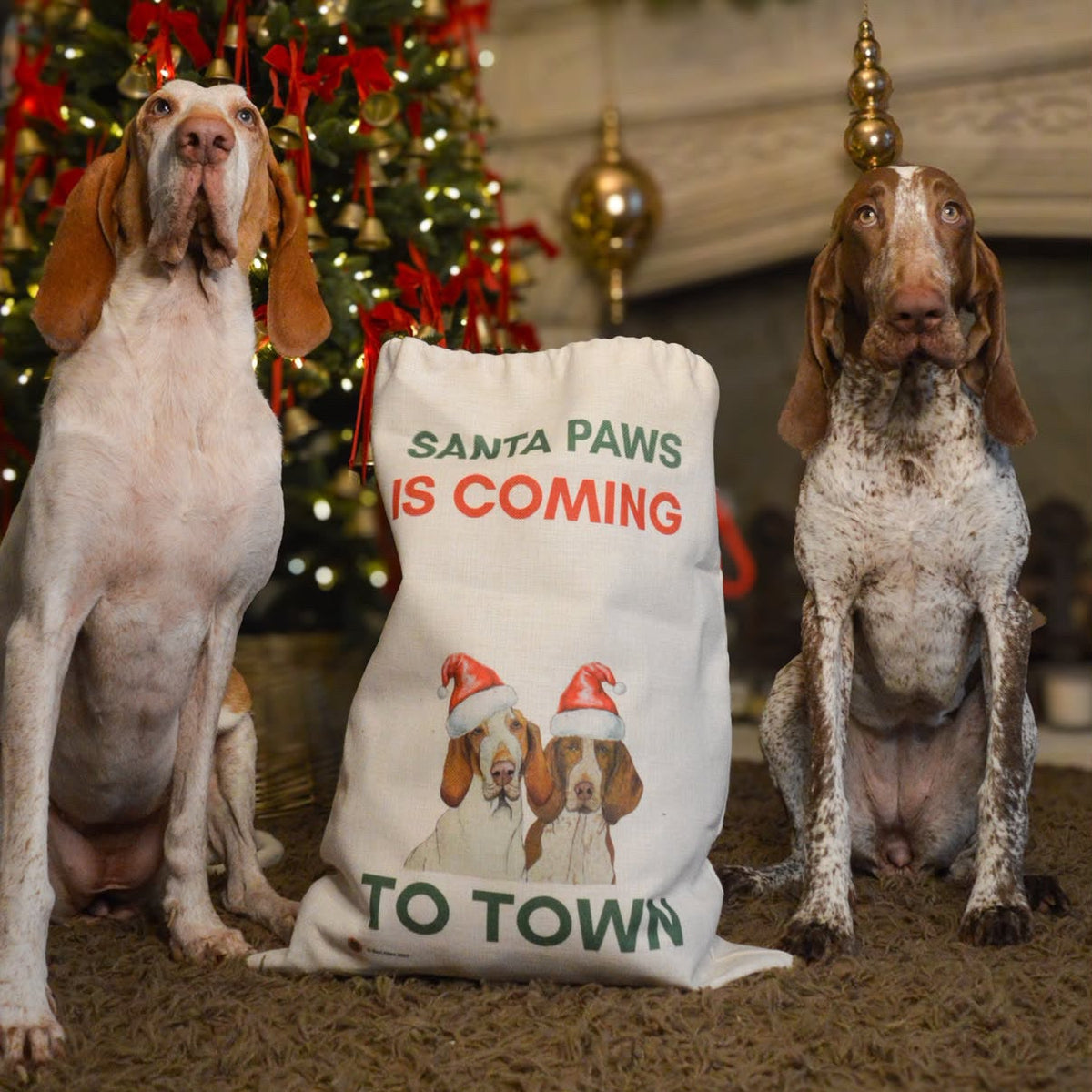 Santa Paws is coming to Town Santa Sack