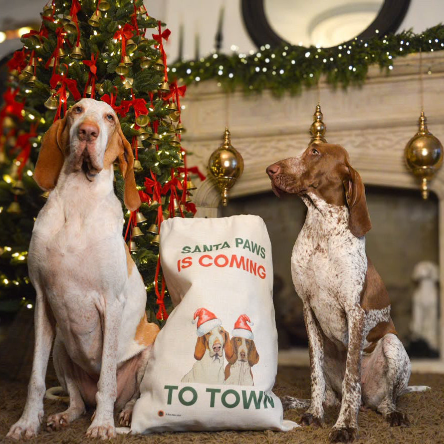 Santa Paws is coming to Town Santa Sack