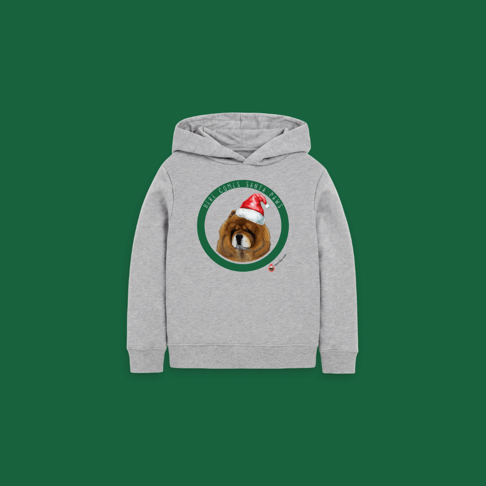 Here Comes Santa Paws Children's Hoody