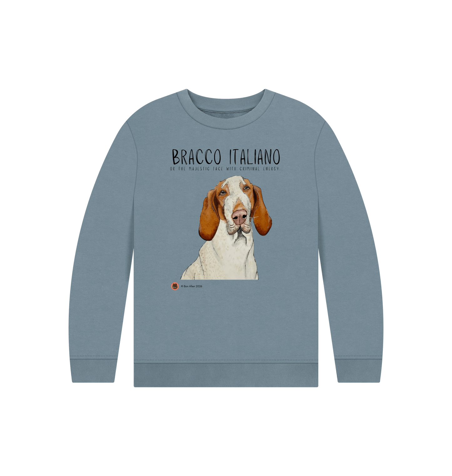 Stone Blue Printed Kids Jumper Front