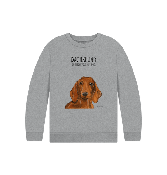 Athletic Grey Printed Kids Jumper