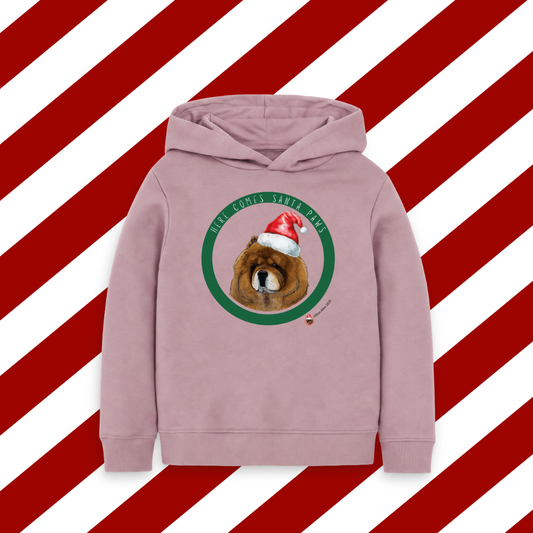 Here Comes Santa Paws Children's Hoody