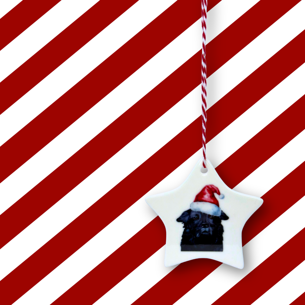 Personalised Star Ceramic Christmas Ornament