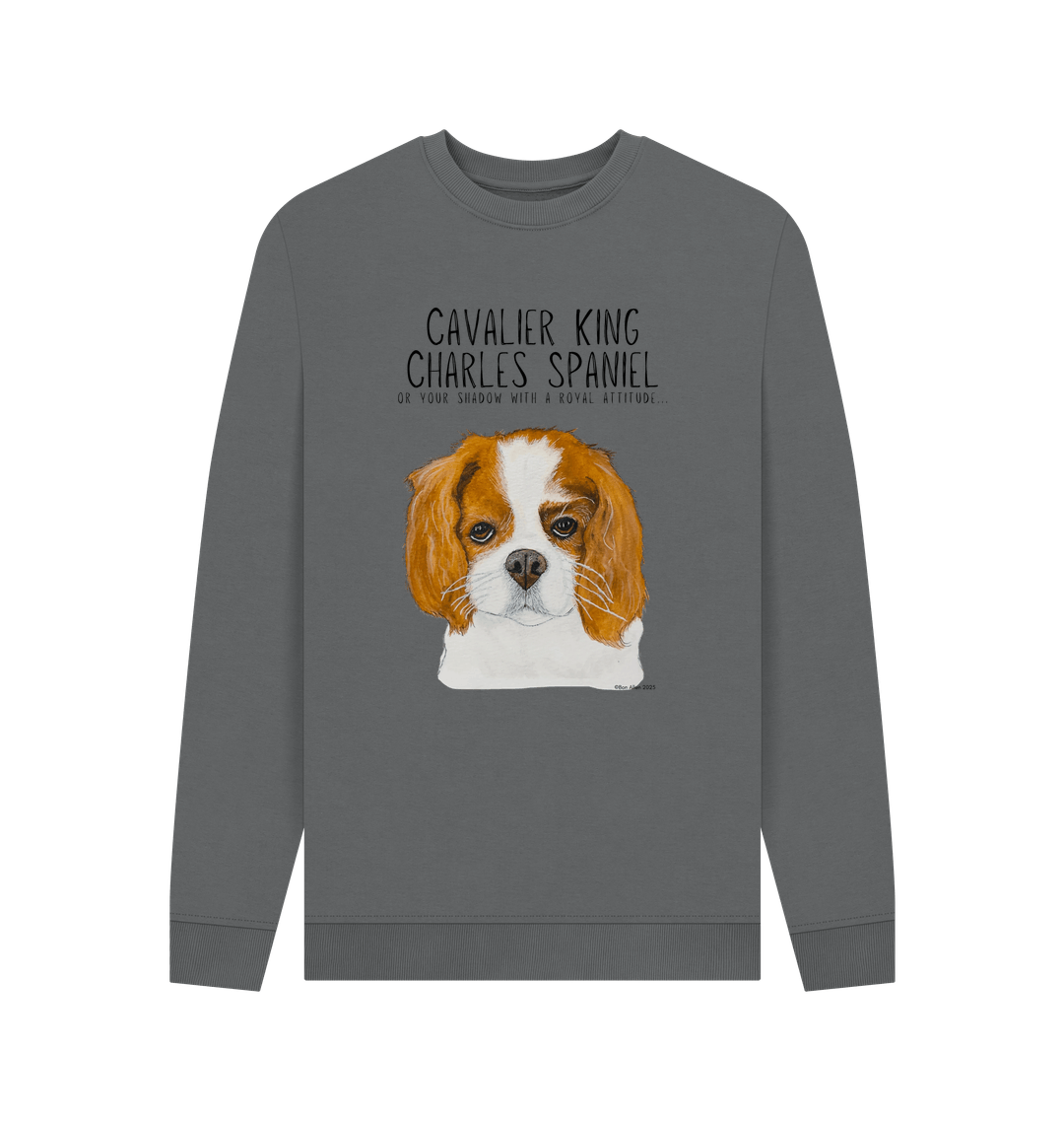 Slate Grey Printed Sweater