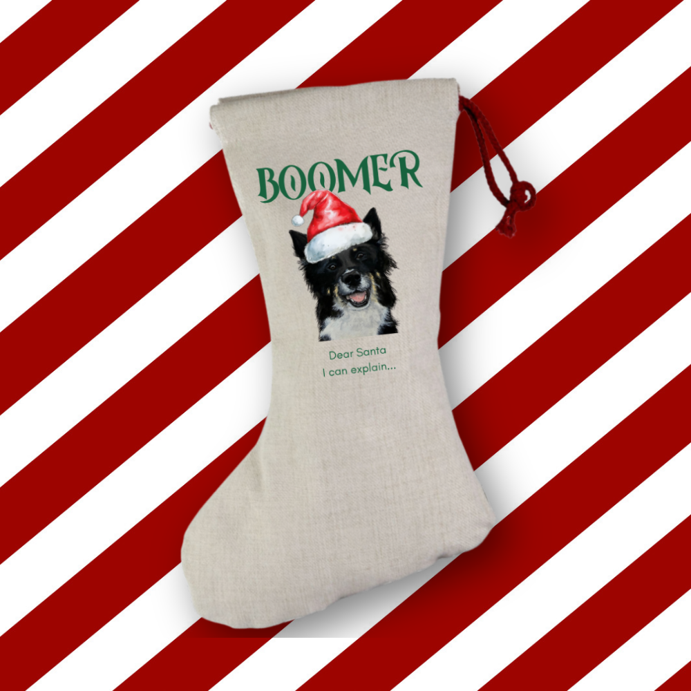 Personalised Christmas Dog Stocking