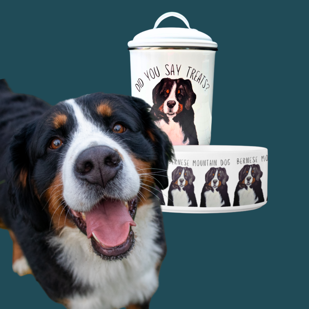 The EXCLUSIVE AAD Treat Them Package
