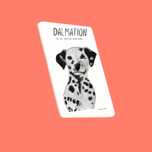 SALE Ceramic Fridge Magnet