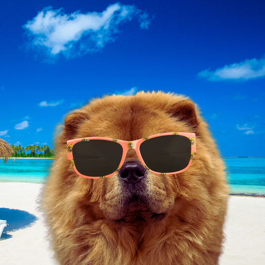 Bon Dog Coral Red Chow Sunglasses