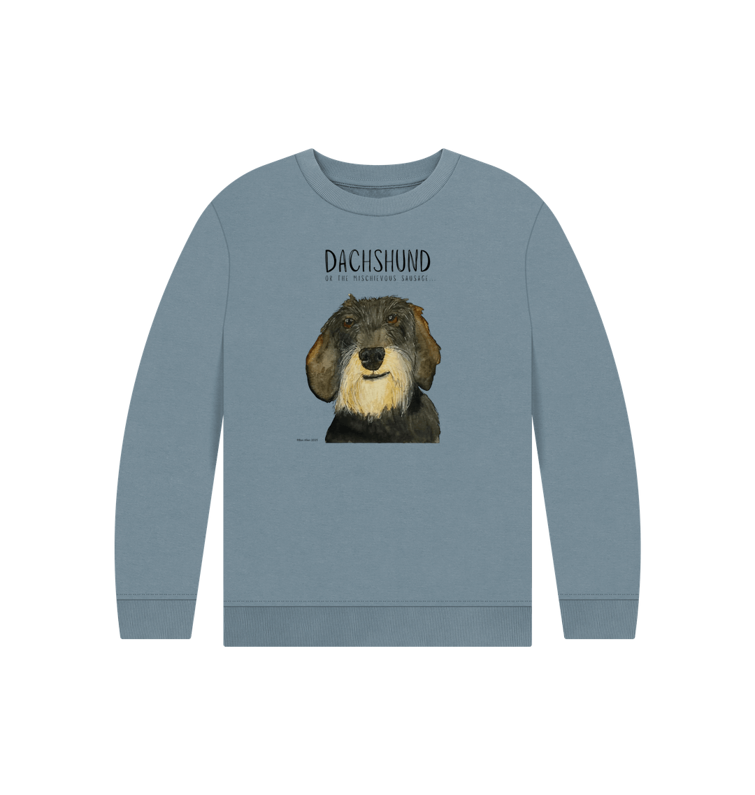 Stone Blue Printed Kids Jumper