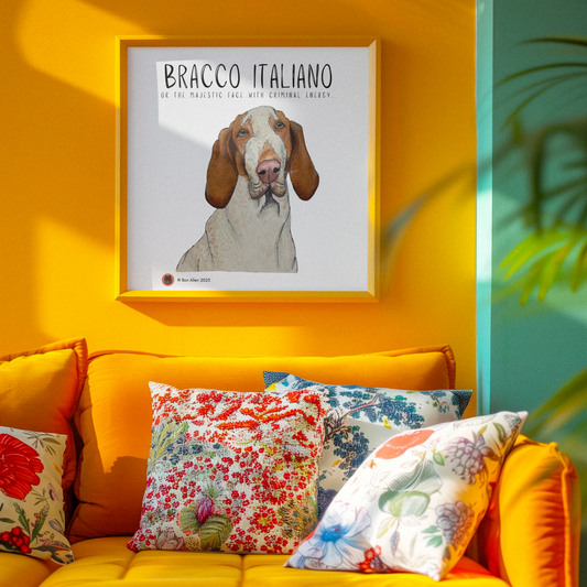 Bracco Italiano Wall Art – Majestic Face, Slightly Criminal Energy