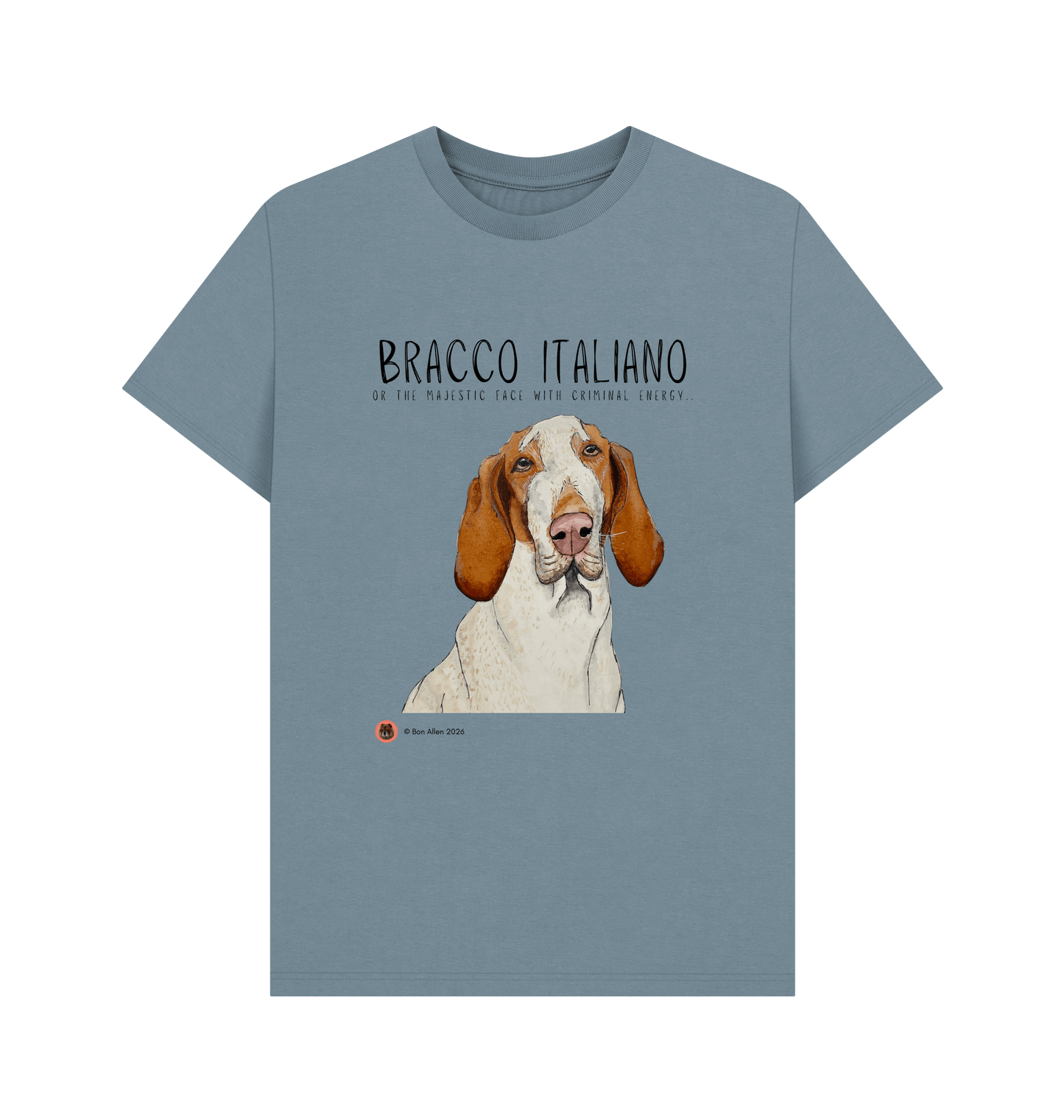 Stone Blue Printed T-shirt Front