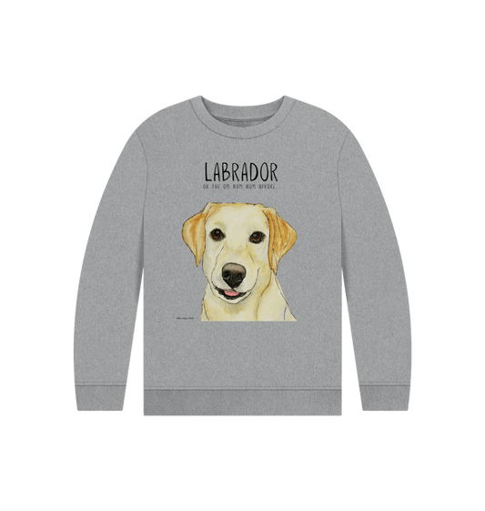 Athletic Grey Printed Kids Jumper