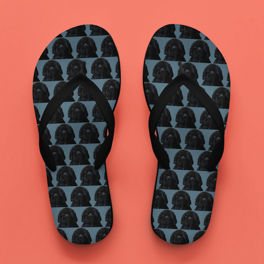 Couch-Sized Rescue Bear Flip Flops – Hilarious Newfoundland Summer Footwear