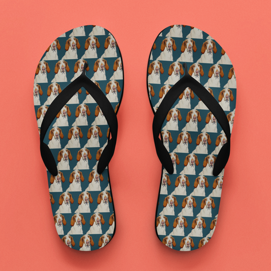 Bracco Italiano Flip Flops – Majestic Paws, Maximum Judgement