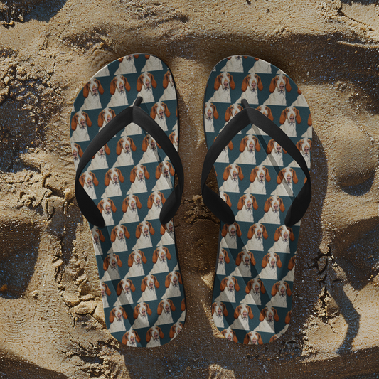 Bracco Italiano Flip Flops – Majestic Paws, Maximum Judgement
